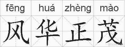 风华正茂的拼音