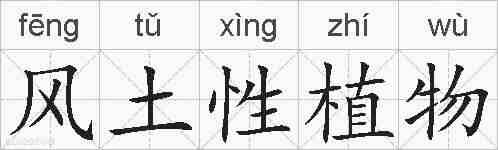 风土性植物的拼音