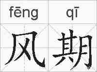 风期的拼音