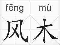 风木的拼音