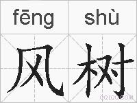 风树的拼音