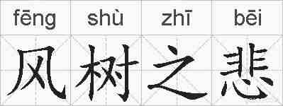风树之悲的拼音