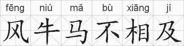 风牛马不相及的拼音
