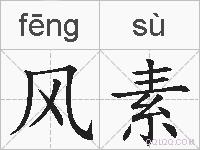 风素的拼音