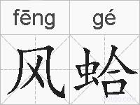 风蛤的拼音
