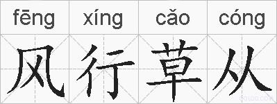 风行草从的拼音
