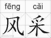 风采的拼音