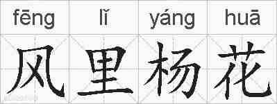 风里杨花的拼音