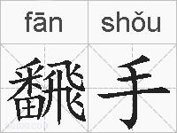 飜手的拼音