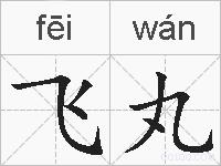 飞丸的拼音