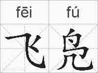 飞凫的拼音
