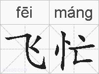 飞忙的拼音