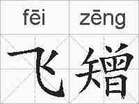 飞矰的拼音