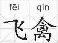 飞禽的拼音
