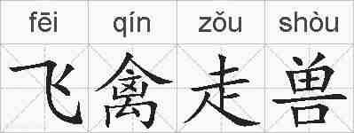 飞禽走兽的拼音