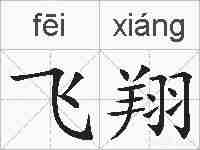 飞翔的拼音