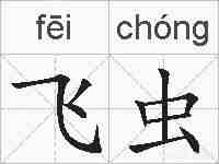 飞虫的拼音