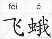 飞蛾的拼音