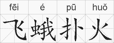 飞蛾扑火的拼音
