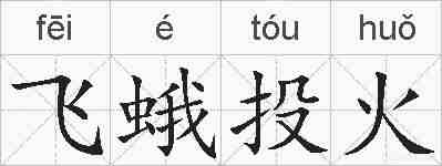 飞蛾投火的拼音
