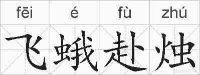 飞蛾赴烛的拼音