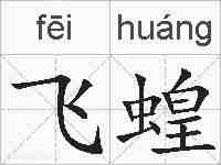 飞蝗的拼音