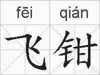 飞钳的拼音