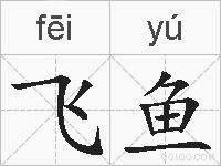 飞鱼的拼音