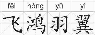 飞鸿羽翼的拼音