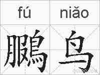 鵩鸟的拼音