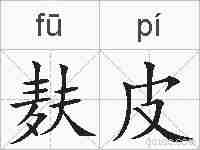 麸皮的拼音
