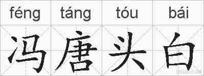 冯唐头白的拼音
