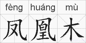 凤凰木的拼音