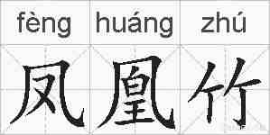 凤凰竹的拼音
