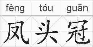 凤头冠的拼音