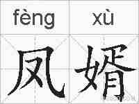 凤婿的拼音