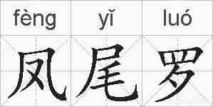 凤尾罗的拼音
