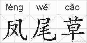 凤尾草的拼音