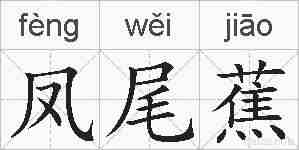凤尾蕉的拼音