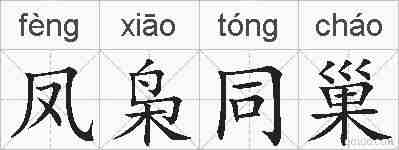 凤枭同巢的拼音