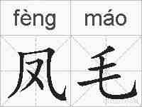 凤毛的拼音