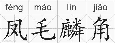 凤毛麟角的拼音