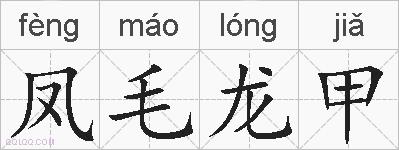 凤毛龙甲的拼音