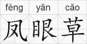 凤眼草的拼音