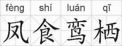 凤食鸾栖的拼音