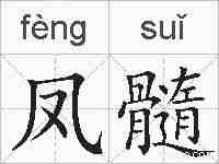 凤髓的拼音