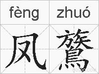 凤鷟的拼音
