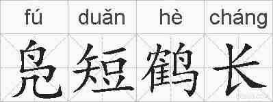 凫短鹤长的拼音