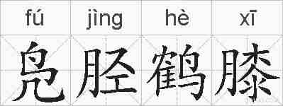 凫胫鹤膝的拼音
