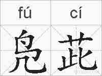 凫茈的拼音